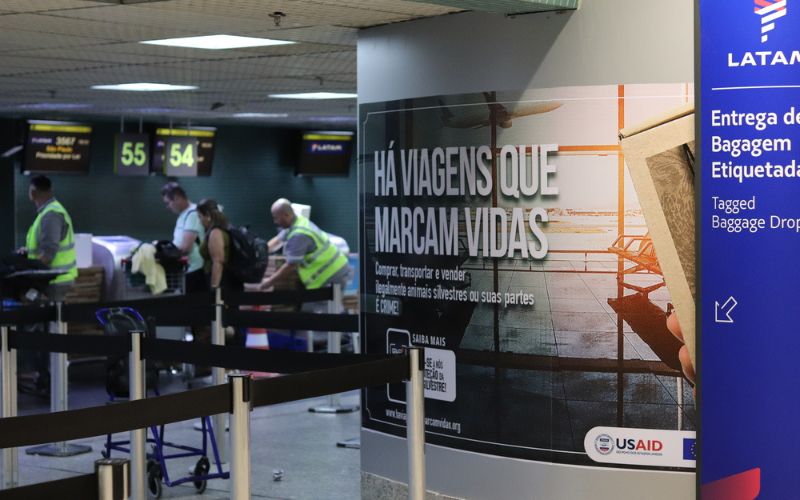 Card de noticia
